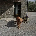 Il Pianolo 3*