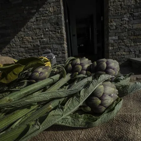 Il Pianolo Perinaldo