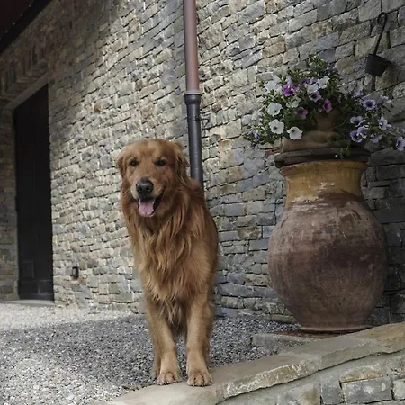Il Pianolo Bed & Breakfast Perinaldo
