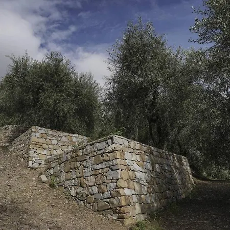 Il Pianolo