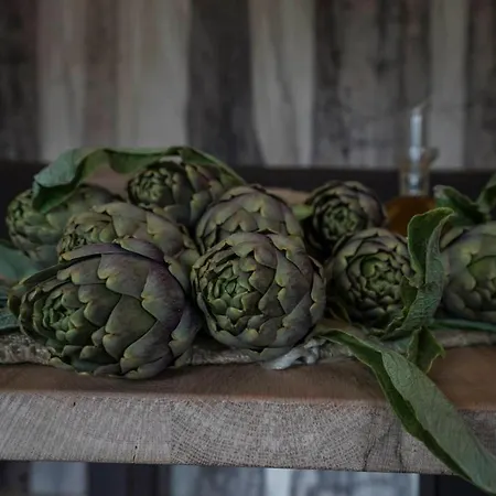 Bed and Breakfast Il Pianolo