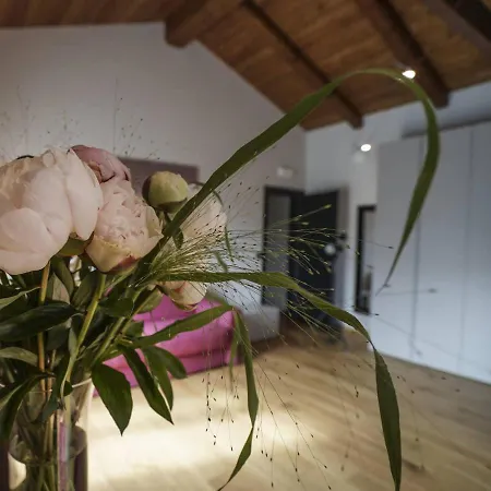 Bed and Breakfast Il Pianolo