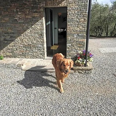 Il Pianolo 3*