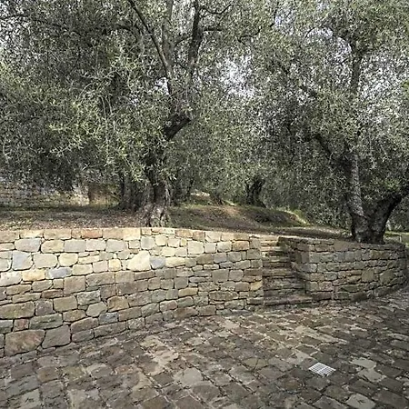 Il Pianolo