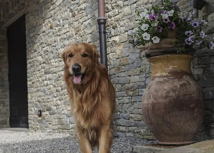 Il Pianolo Bed and breakfast Perinaldo