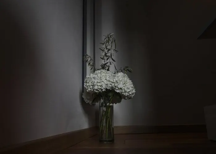 Bed and breakfast Il Pianolo Perinaldo