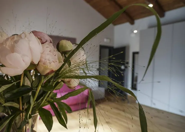 Bed and breakfast Il Pianolo